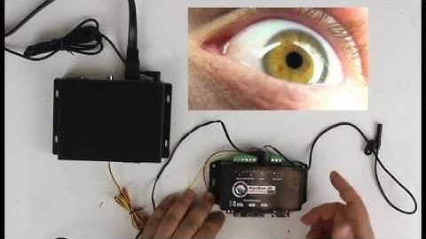 Creating Halloween Effects Using a Triggerable Digital Video Player