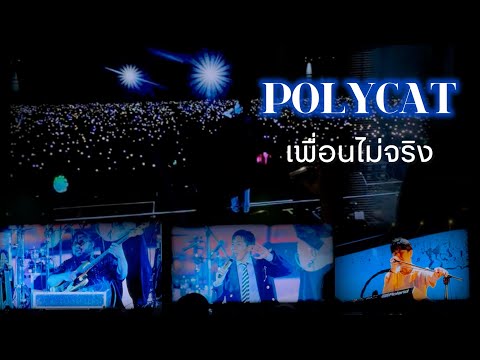 POLYCAT - เพื่อนไม่จริง (Forever Mate) | Monster Music Festival 2025