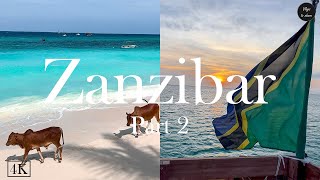 Incredible trip to Zanzibar, explore Nunwgi... | Part 2 | VLOG