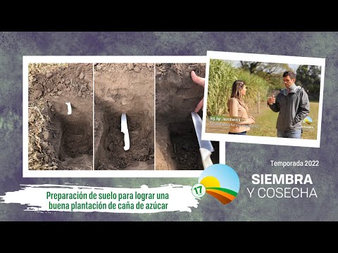 SIEMBRA Y COSECHA