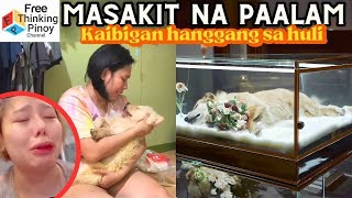 NAKAKA-IYAK!! na Pamamaalam ng Pets sa kanilang Amo! Pets bid Farewell to Owners