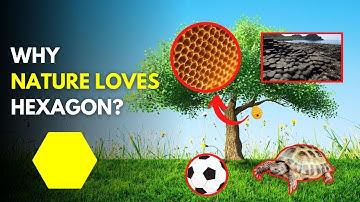 Why Nature Loves Hexagon ?