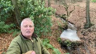 Leaky dams and rewilding at Broughton Hall