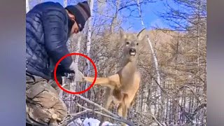 Wild doe waits patiently for man to rescue her and gives him the sweetest ‘thank you’ by Did You Know Animals ? 377 views 2 months ago 3 minutes, 33 seconds