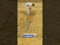 Méthode de construction révolutionnaire. #btp #construction #chantier #batiment