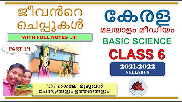ജീവൻറെ ചെപ്പുകൾ CASKETS OF LIFE SCERT CLASS 6 SCIENCE CHAPTER 1 MALAYALAM MEDIUM SCERT KERALA