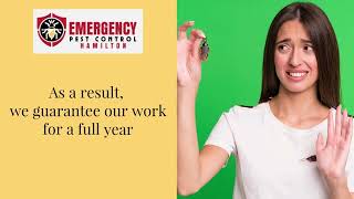 Pest Control Service- Hamilton Emergency Pest Control