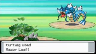Pokemon Diamond Walkthrough - Part 30 - Route 212