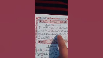 قرآن كريم بصوت جميل سورة التين