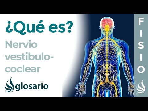 Vídeo: Función Del Nervio Vestibulococlear, Anatomía Y Diagrama - Mapas Corporales