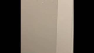 A5 Floor Plans