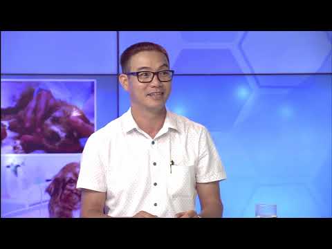 Video TƯ VẤN PHÒNG & TRỊ BỆNH PARVO Ở CHÓ (CANINE PARVOVIRAL... - youtube