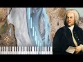 World Class Pianist plays Bach - Piano Concert F Minor