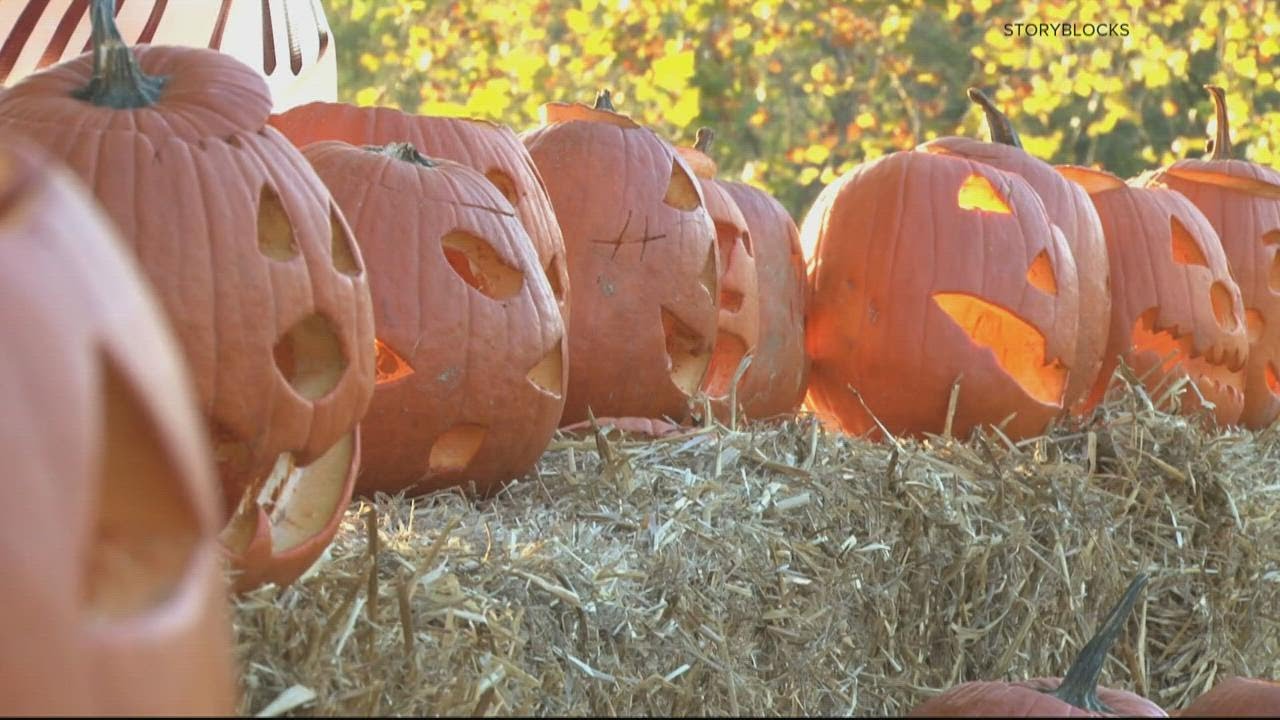 VERIFY Does bleach preserve a pumpkin, and is it dangerous for