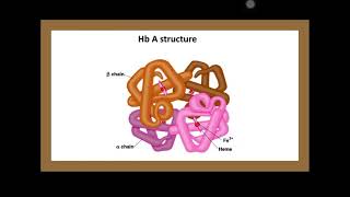 شرح الهيموجلوبين | Hemoglobin