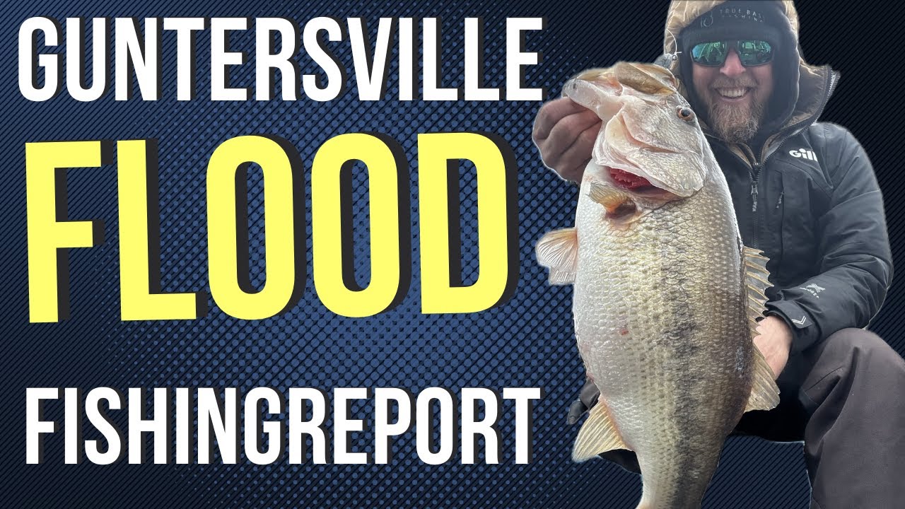 PRE SPAWN Guntersville February Fishing REPORT (FLOOD)
