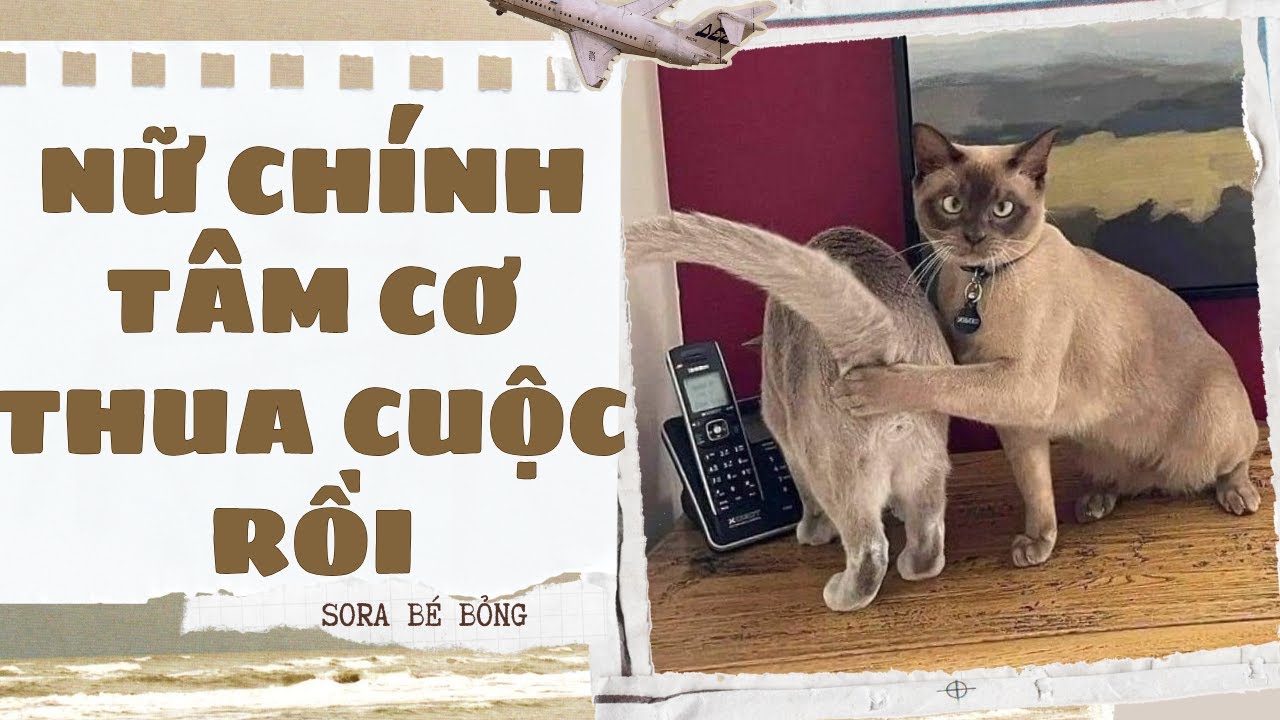 [Truyện Audio ] [FULL] NỮ CHÍNH TÂM CƠ THUA CUỘC RỒI || Sora Bé Bỏng