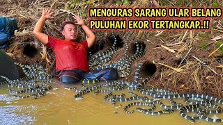 Download Lagu \ MP3 Download Lagu \ MP3