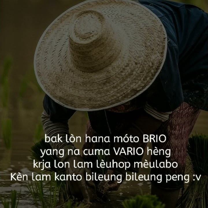 Story wa Bahasa Aceh terbaru 2020||story Aceh