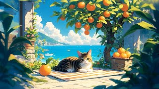 Summer Is Coming 🌤️ Lofi Morning Vibes 🌤️ Summer Lofi Songs Make You Calm Down And Relax Your Mind