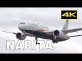 [4K] 30 minutes 23 Jets Plane Spotting at Tokyo Narita Airport on December 19, 2020 / 成田空港 ANA