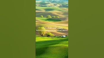 آيات من سورة النمل #قرآن كريم