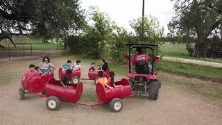 Fall fun at the farm!