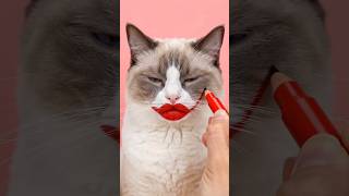 Grumpy Cat’s Smile Tutorial Makeup (Wait for the results!) #shorts #makeup #asmr