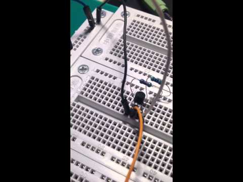 (SINTRON) Raspberry Pi with DS18B20 temperature sensor module