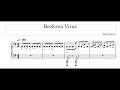 Beethoven Virus but I got &#39;distracted&#39;