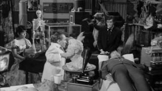 Famous Michael Dunn & Phoebe Dorin - I Know Where I'm Going (1965) Profile