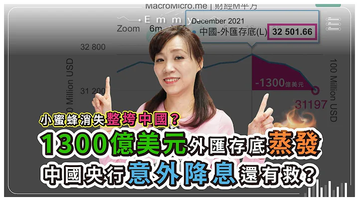 中國外匯存底暴跌1300億美元，應升息卻意外降息的內幕？小蜜蜂神秘消失讓中共金融體系大亂，外資出逃？｜中國仆街17 - 天天要聞