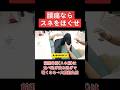 腰痛なら前脛骨筋(スネ)をほぐせ!食べ過ぎ飲み過ぎでスネ(前脛骨筋)が硬くなる→大腰筋短縮する【アナトミートレイン】