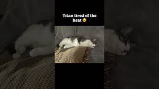 Titan Tired of This Heat 🥱