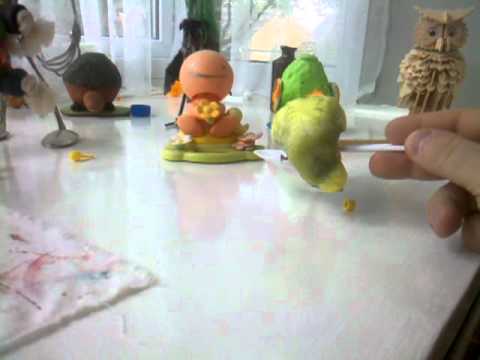 One heaped teaspoonful of budgie...