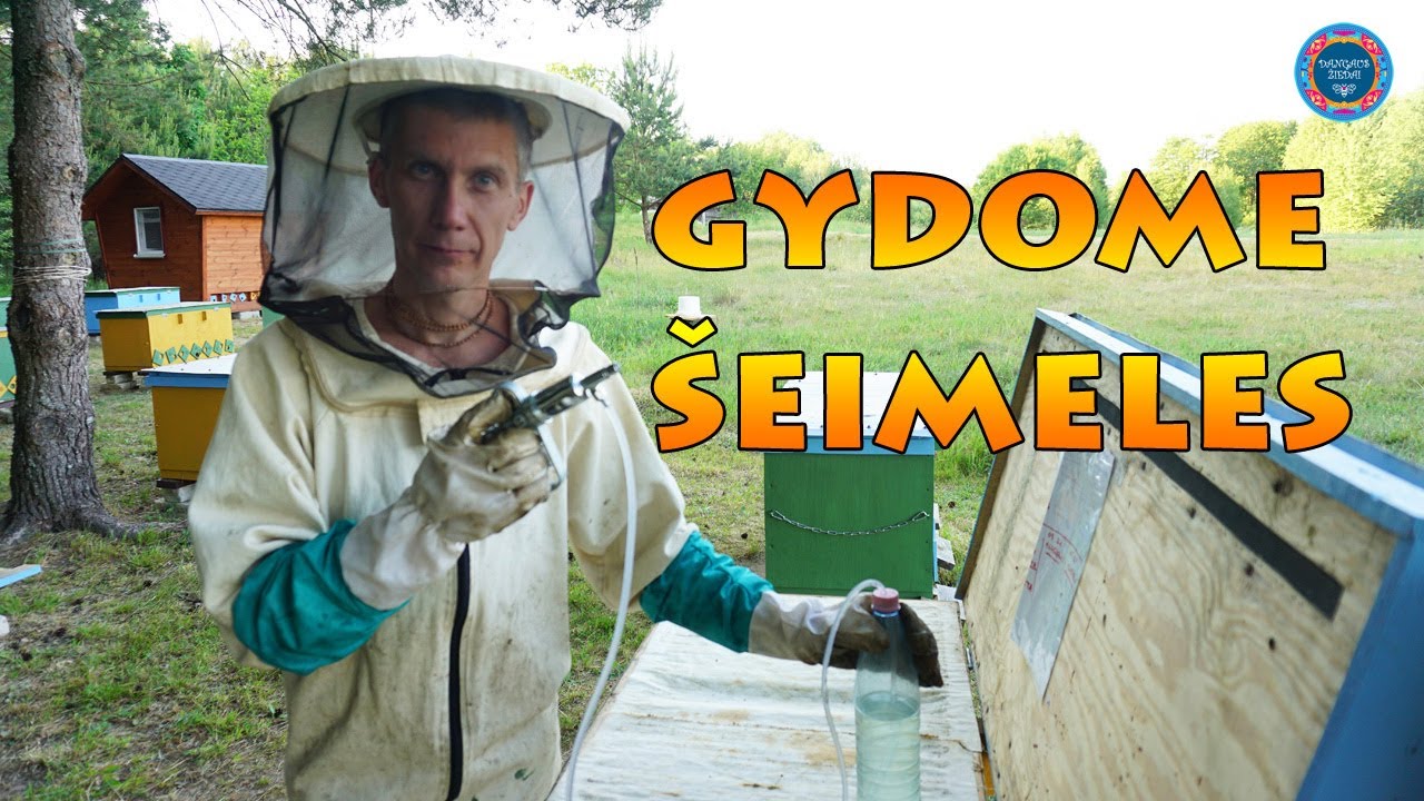 Bičių šeimelės + oksalo rugštis - YouTube