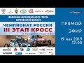 🔴 Прямой эфир. III этап Чемпионата России по кроссу 19 мая 2019 г. Воронеж