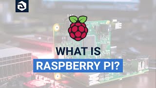 What Is Raspberry Pi? How This Mini Computer Works Why Companies Use It?