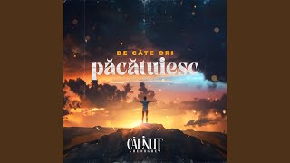 De Cate Ori Pacatuiesc Feat. Vasile Mocanu