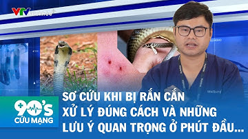 Sơ Cứu Khi Bị Rắn Cắn | Xử lý đúng cách | Lưu Ý Quan Trọng | 90 Giây Cứu Mạng