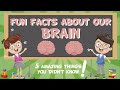 Our brain amazing fun facts  educationals for kids