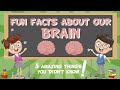 Understanding the Brain