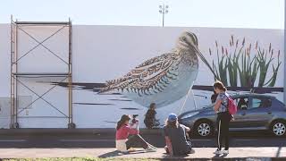 Nature is Home: Snipe Mural