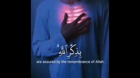 #الذين آمنوا وتطمئن قلوبهم بذكر الله ألا بذكر الله تطمئن القلوب.#القرآن الكريم صوت هادئ و#مريح للنفس