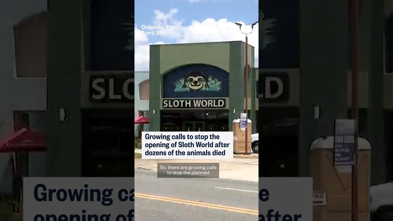 Growing calls to stop the opening of Sloth World after dozens of the animals died