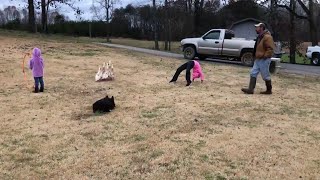 Dogs Lead Ducks Through Tricky Obstacle Course || ViralHog
