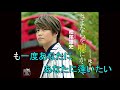 さよならを嘘にかえて  松尾雄史  Cover aki1682