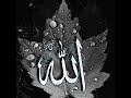نشيده حسبي ربي جل الله الله الله روعه