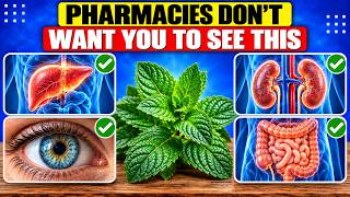 The #1 Secret Plant That Fixes Liver, Vision, and Intestines