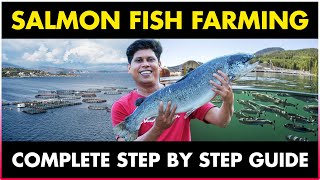 Salmon Fish Farming A Step-By-Step Guide To Salmon Fish Farming